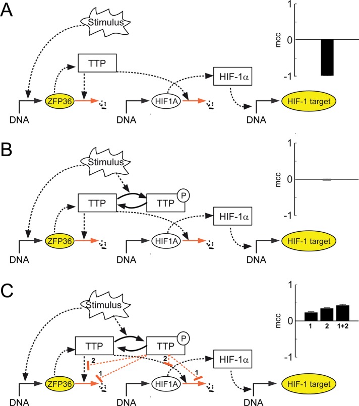 FIGURE 3: