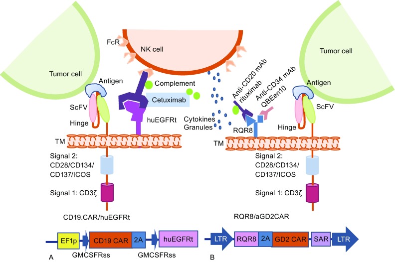 Figure 4