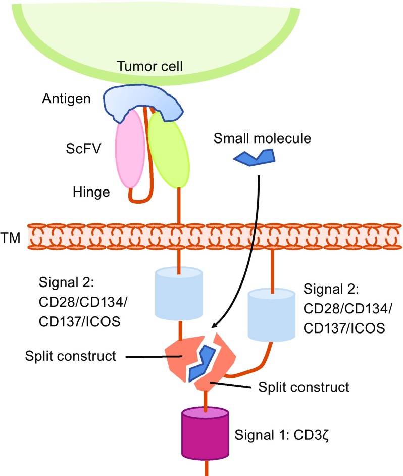 Figure 5