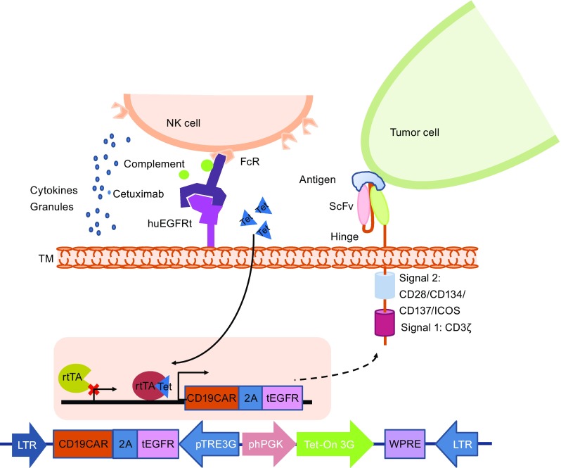 Figure 6