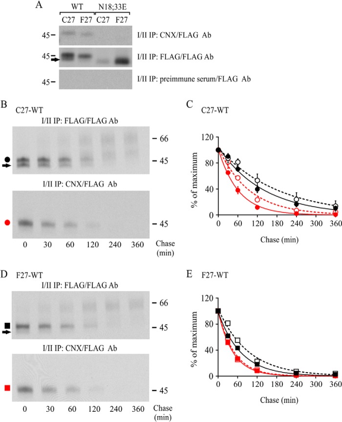 FIGURE 4.