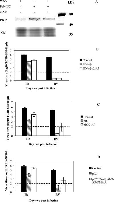 FIG. 4.