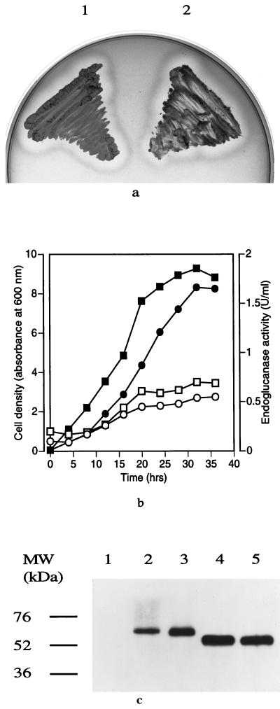 FIG. 6