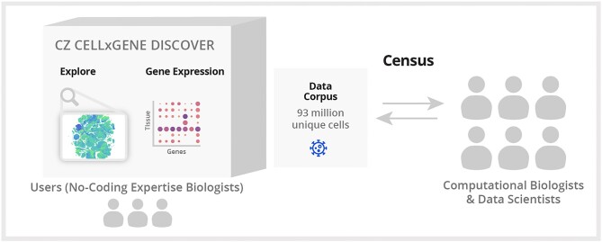 Graphical Abstract