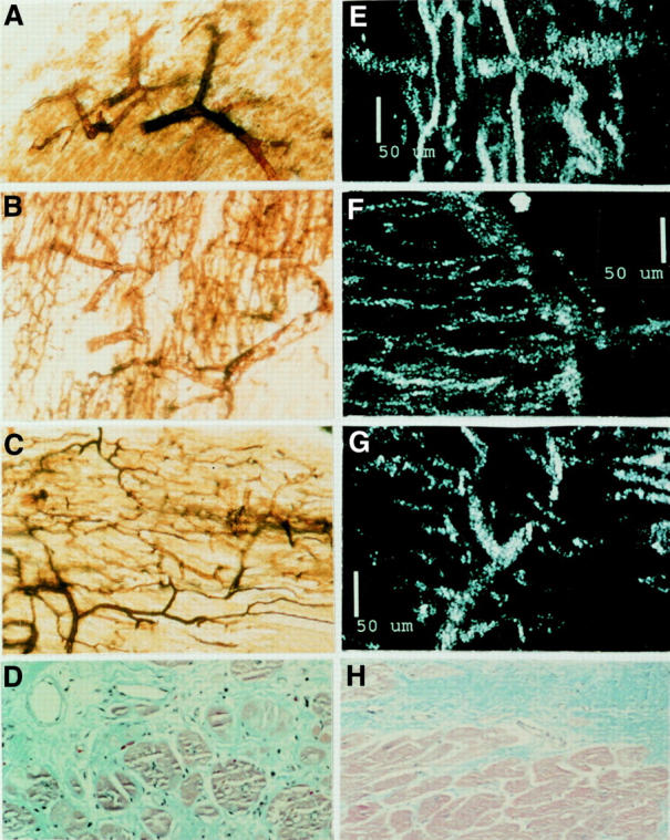 Figure 2  