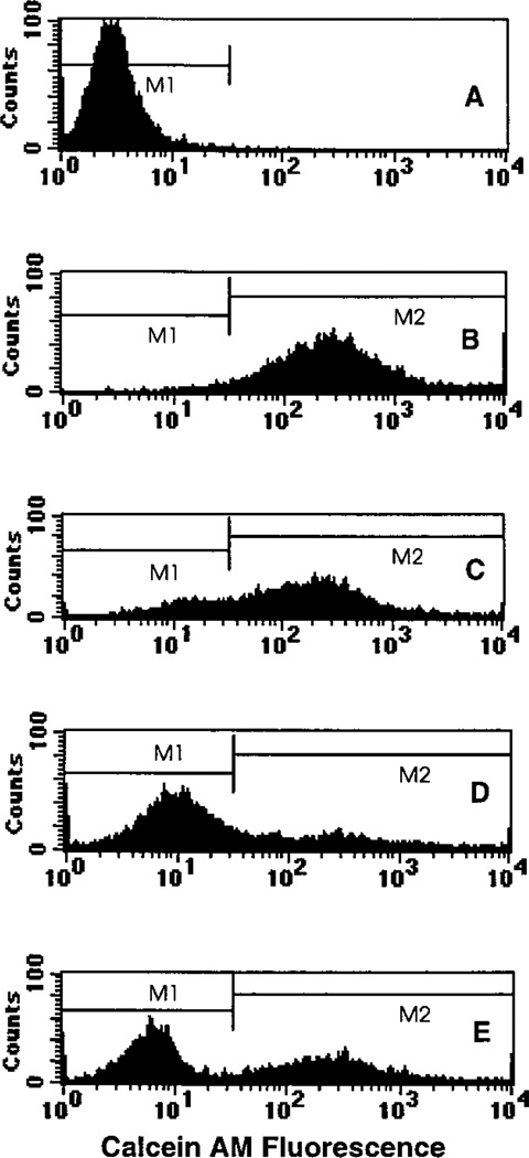 FIG. 5