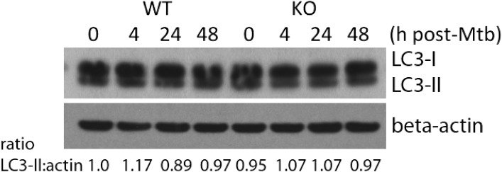 Fig. S3.