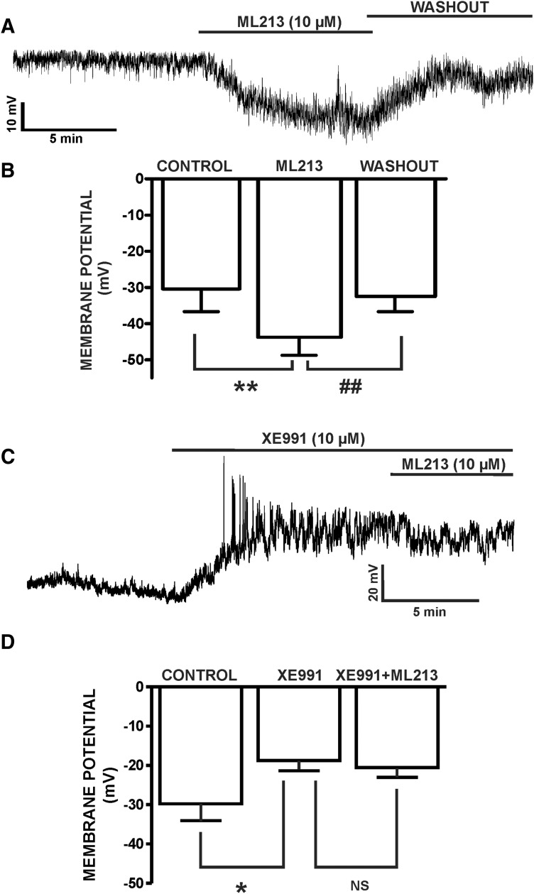 Fig. 10.