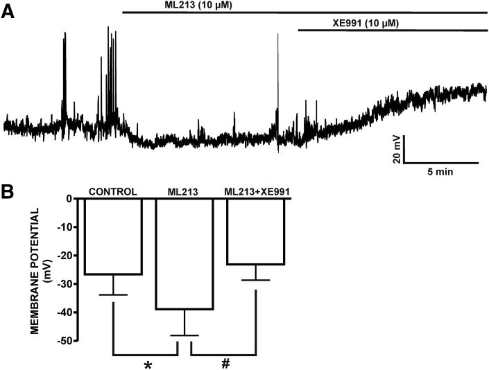 Fig. 11.