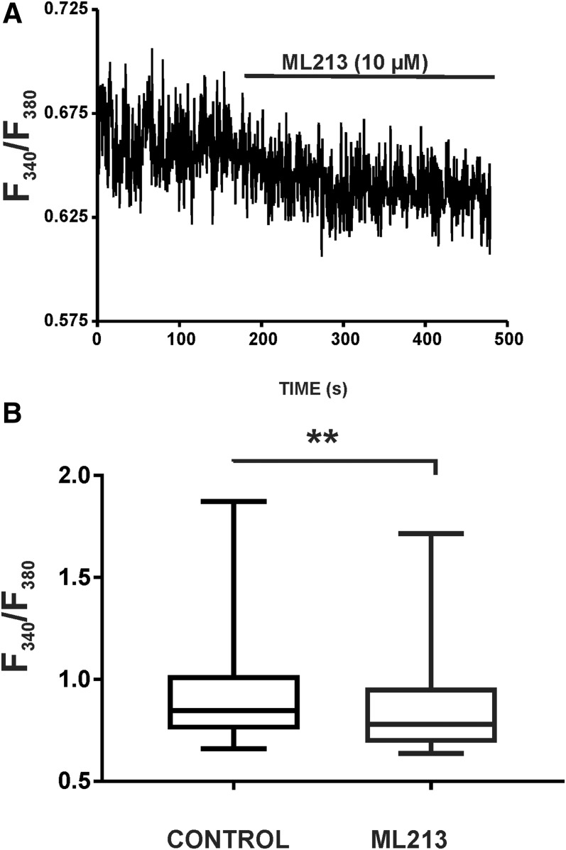 Fig. 7.