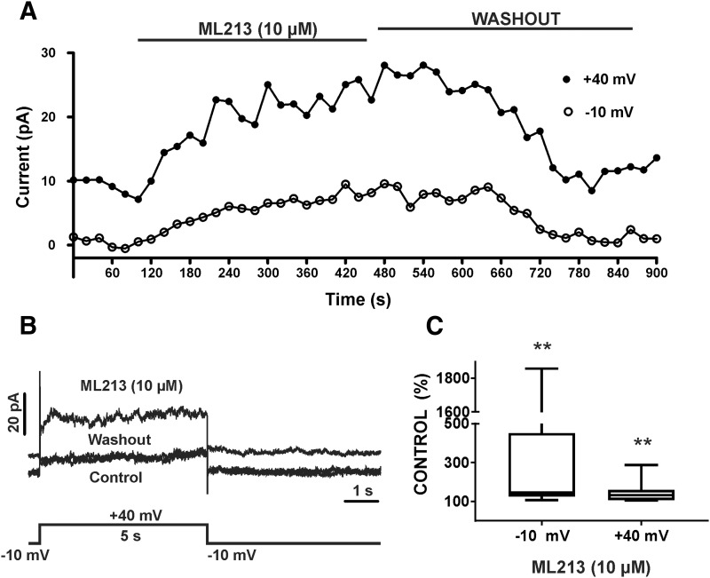 Fig. 9.