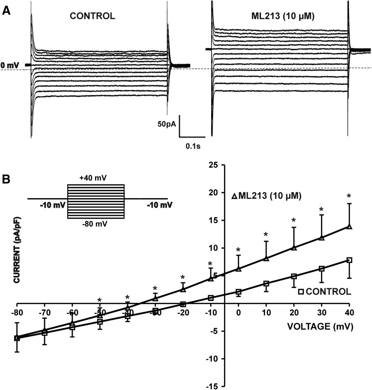 Fig. 8.