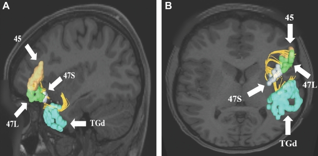 FIGURE 4.