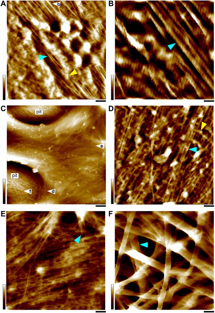 FIGURE 4