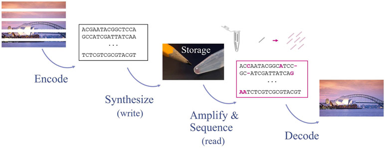 Fig. 2: