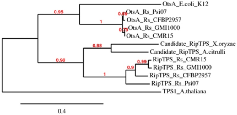 FIG 2 