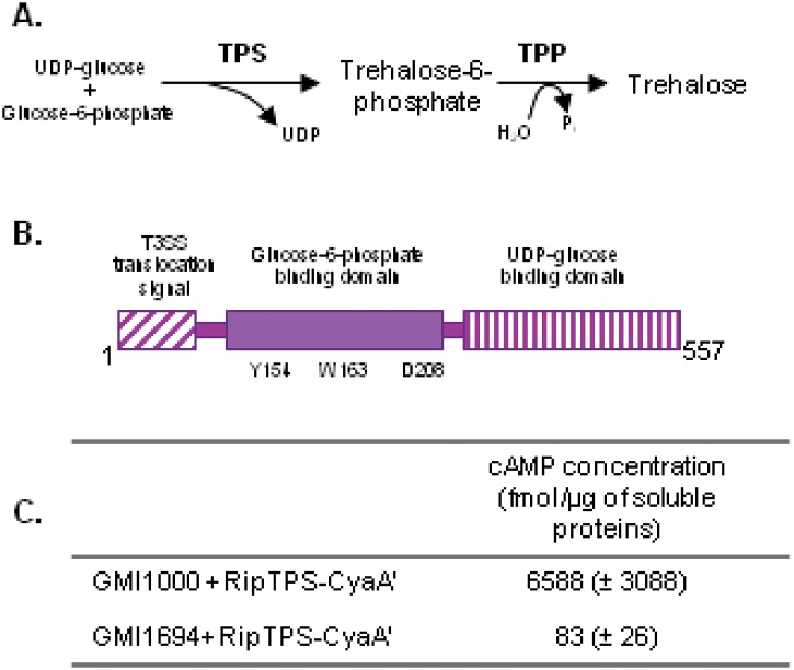 FIG 1 