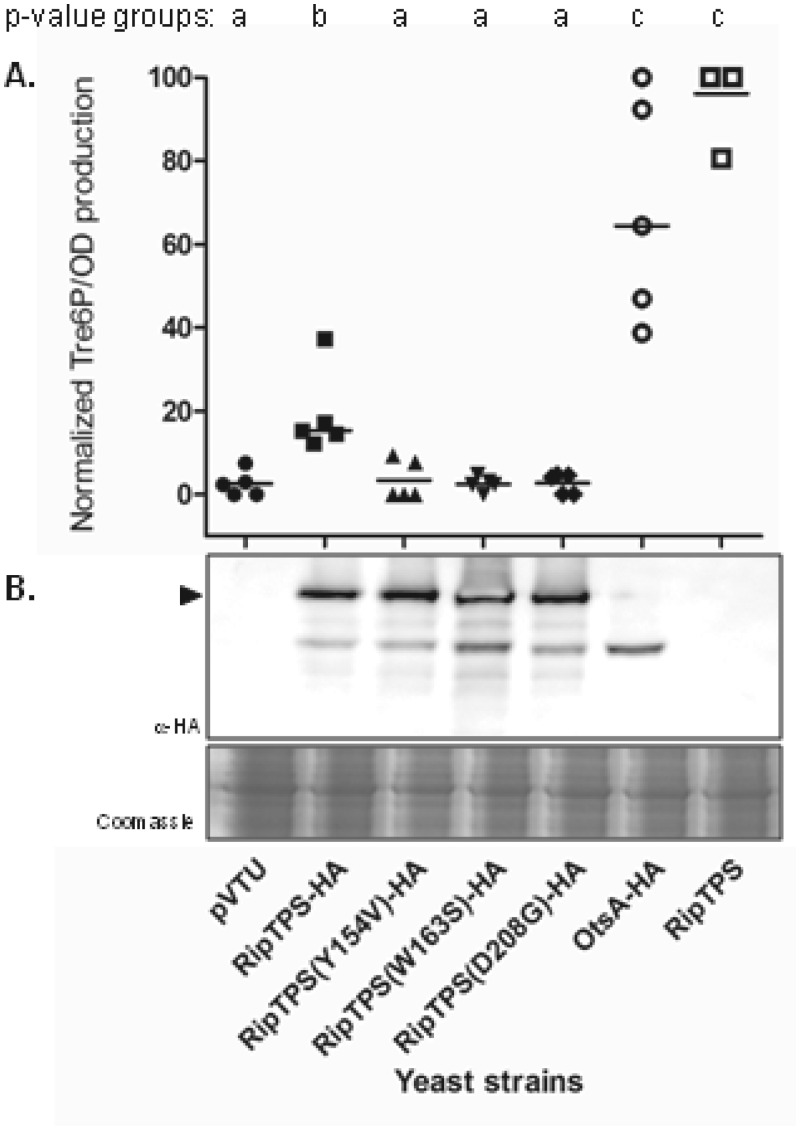 FIG 4 