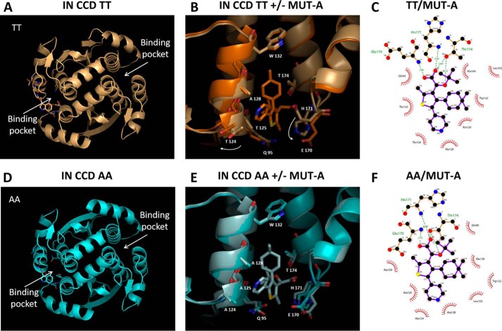 Figure 4.