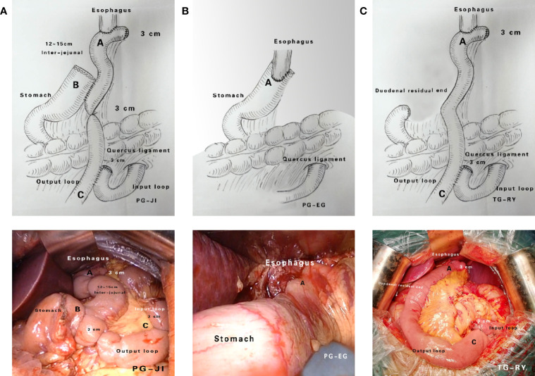 Figure 2