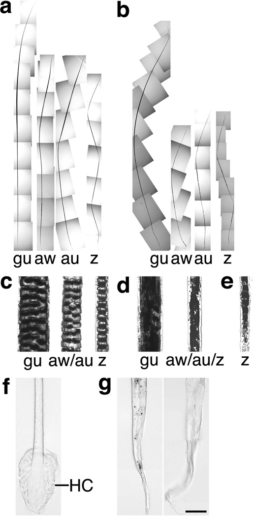 FIG. 5