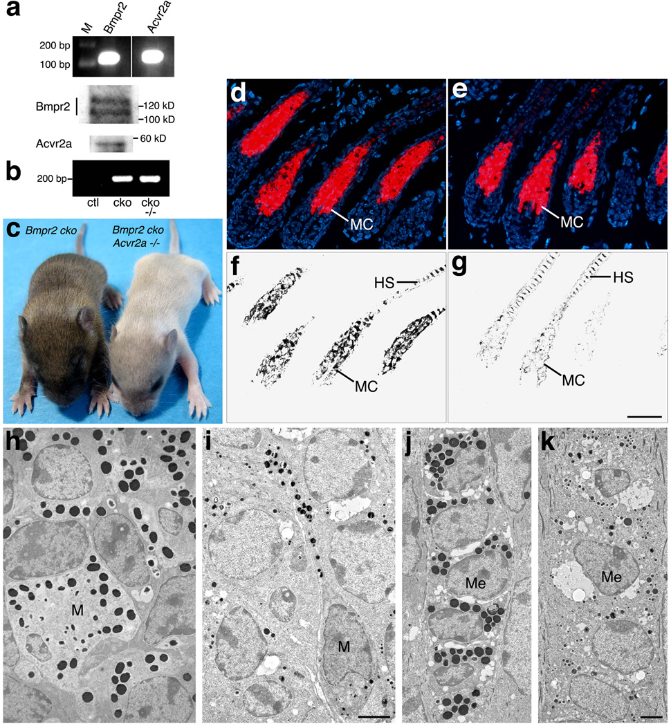 FIG. 7