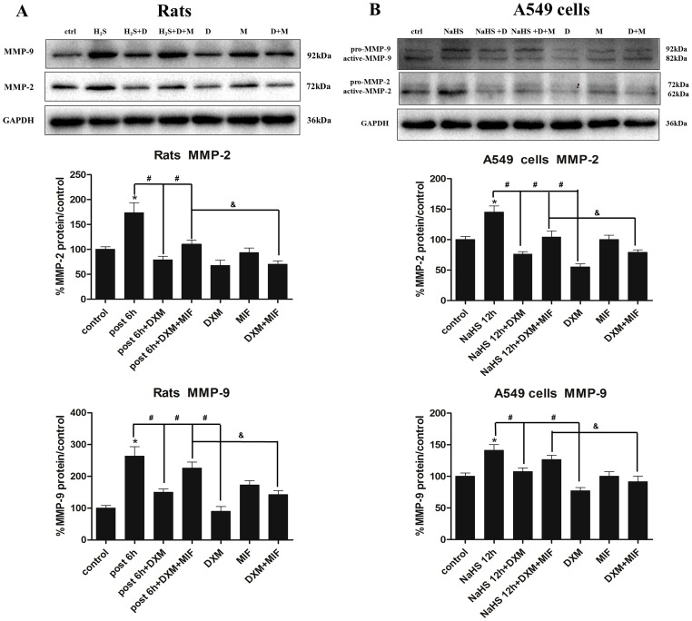 Figure 12