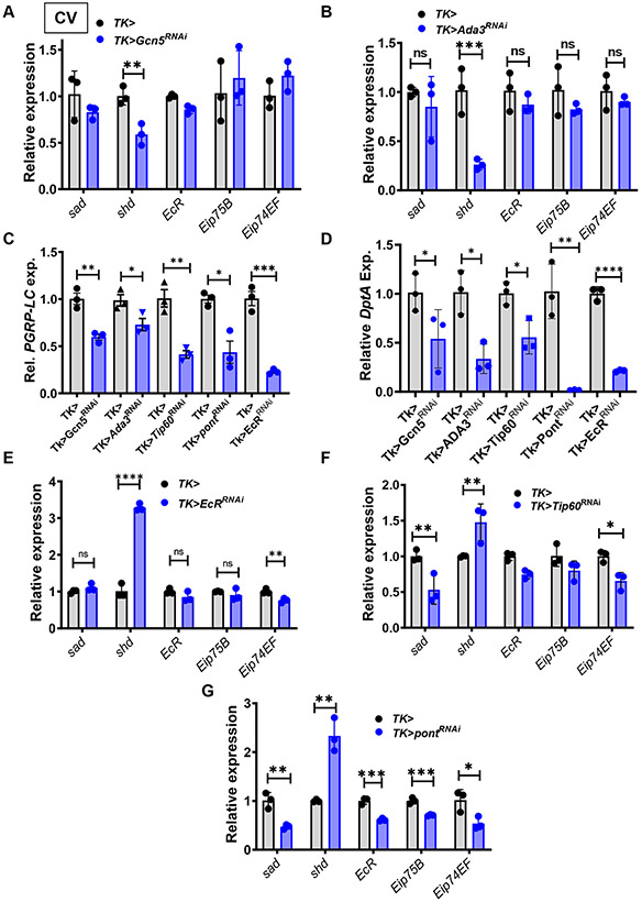 Fig 6: