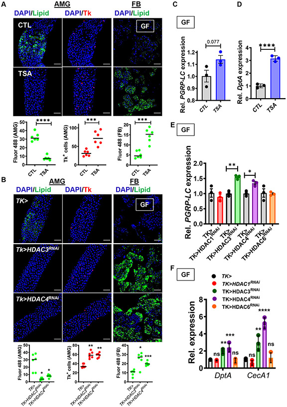 Fig 4: