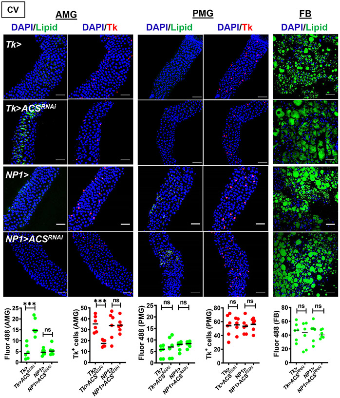 Figure 2: