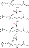 Fig. 11