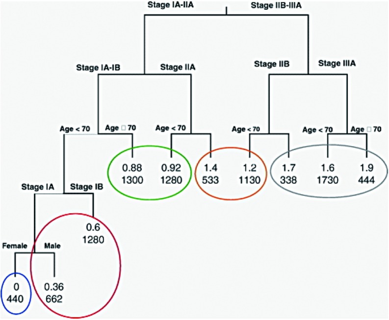每一节点上面的数字表示风险比的log值，以最左侧的组别作为参照。下面的数字表示每一分类中的患者数目。风险相似的组别用带颜色的圆圈标出。细胞类型亦被纳入分析，但在生存期树状图中没有显示，因为在公式中不能满足重要分割点的选择过程的任一点。<break/>注：本图得到版权所有者© 2009 by the International Association for the Study of Lung Cancer复制许可