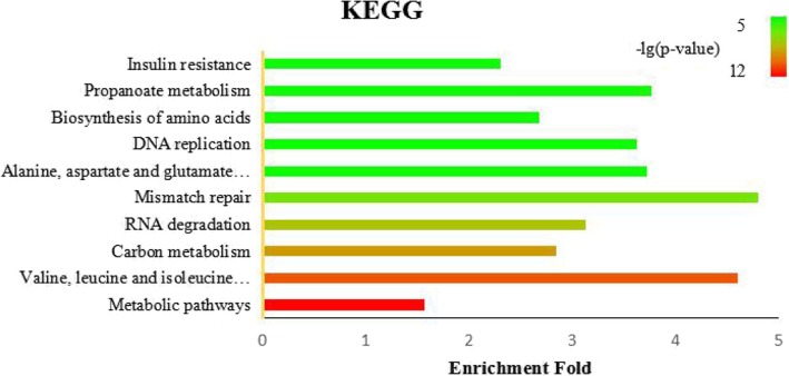 Fig. 12