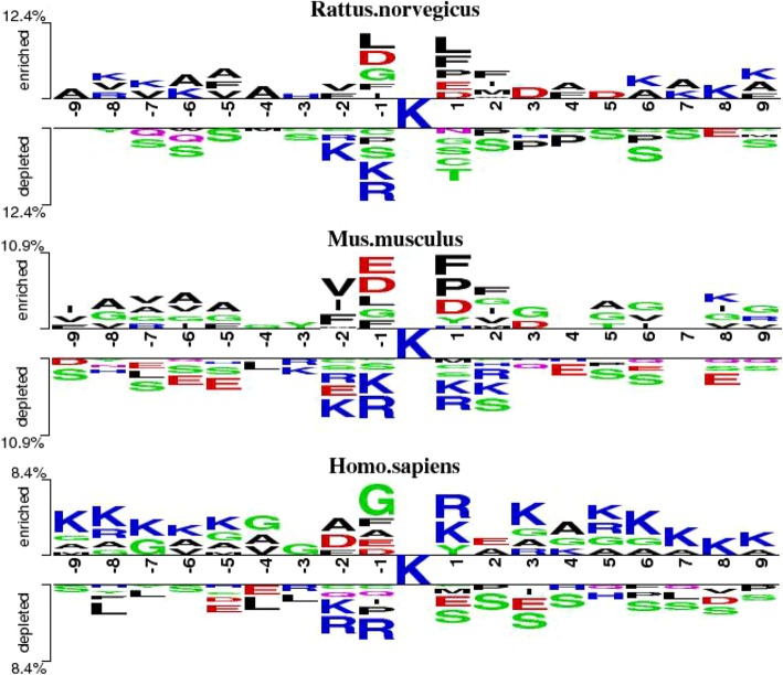 Fig. 10