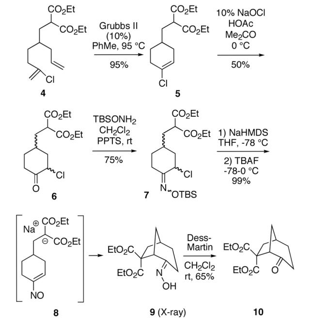 Scheme 2