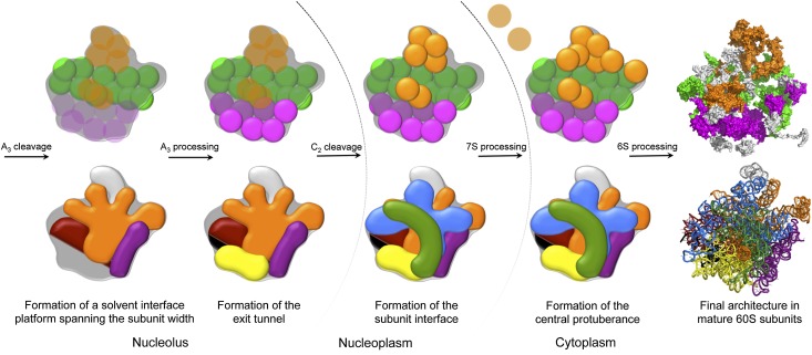 Figure 6.