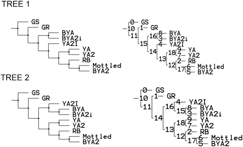 Fig 2