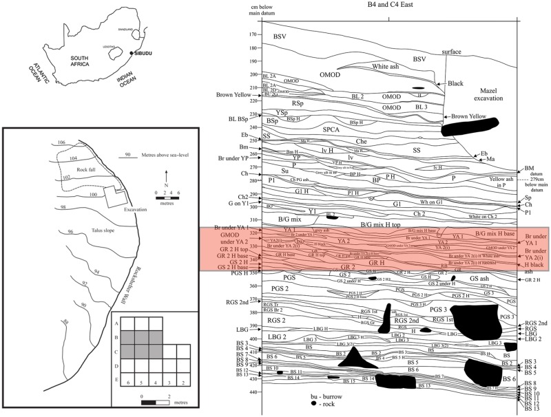 Fig 1