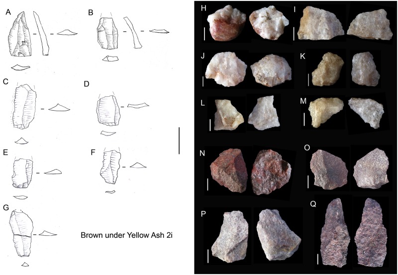 Fig 6