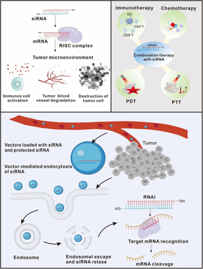 Image, graphical abstract