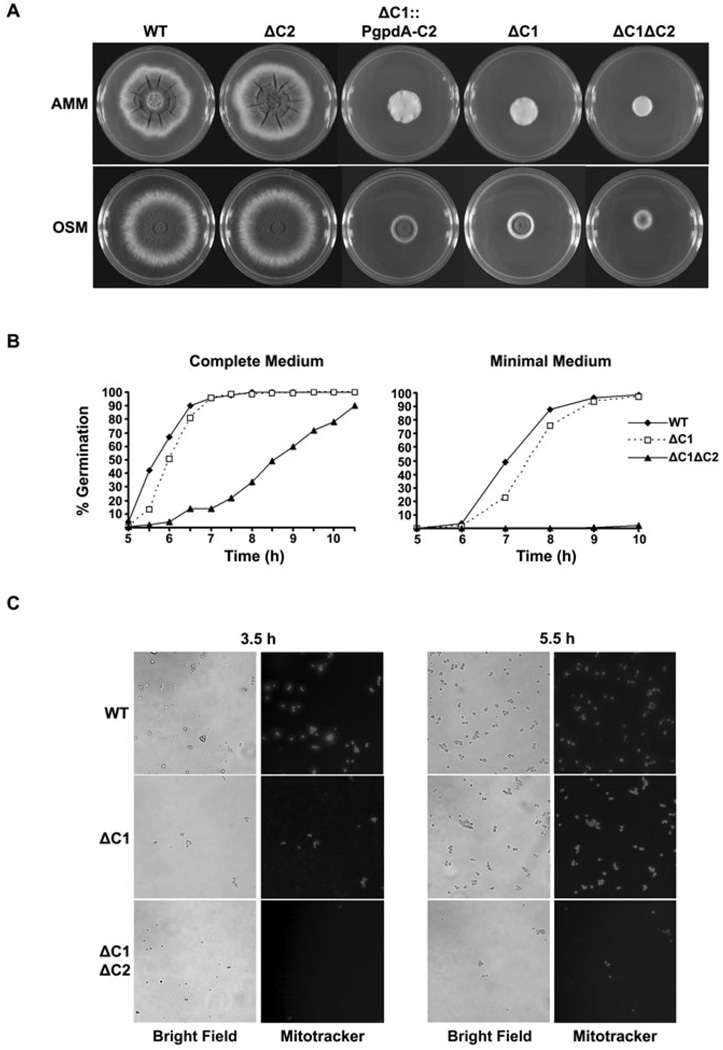 Fig. 2