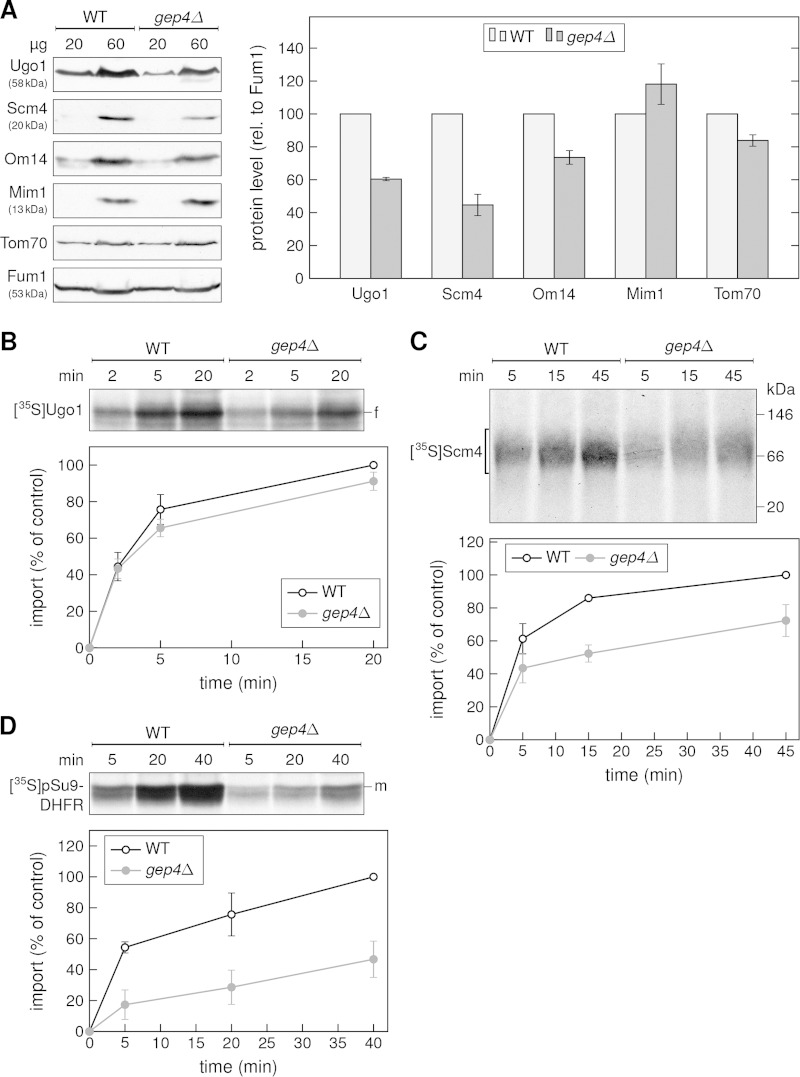 FIG 6