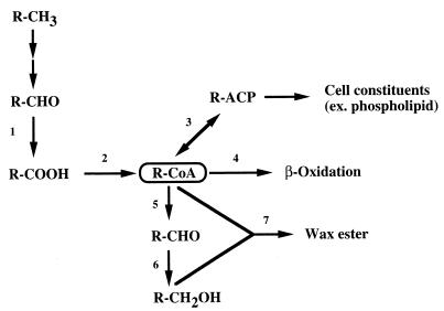 FIG. 6