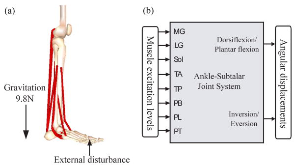 Fig. 1