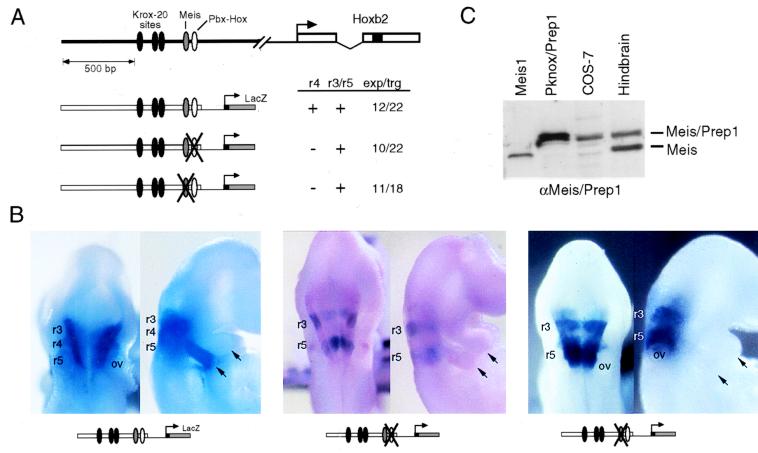 FIG. 7