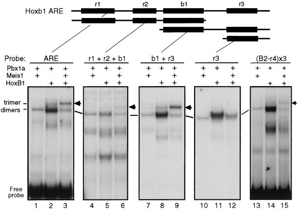 FIG. 5