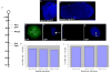 Supplementary Figure 1