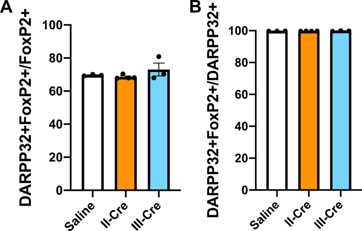 Figure 3—figure supplement 2.