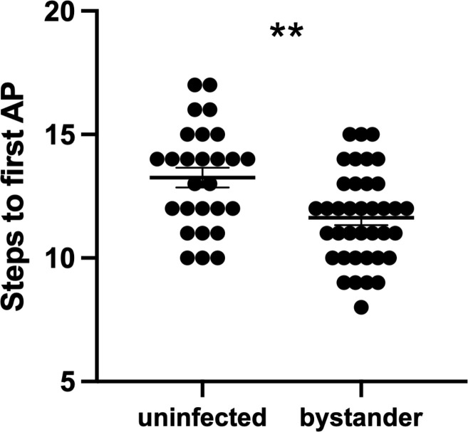 Figure 5—figure supplement 2.