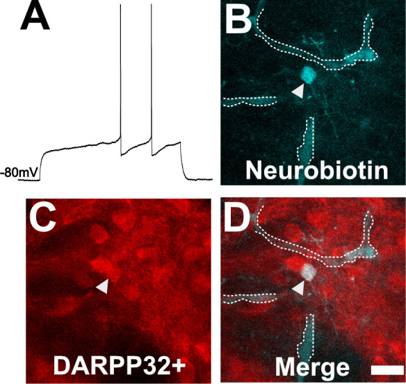 Figure 4.